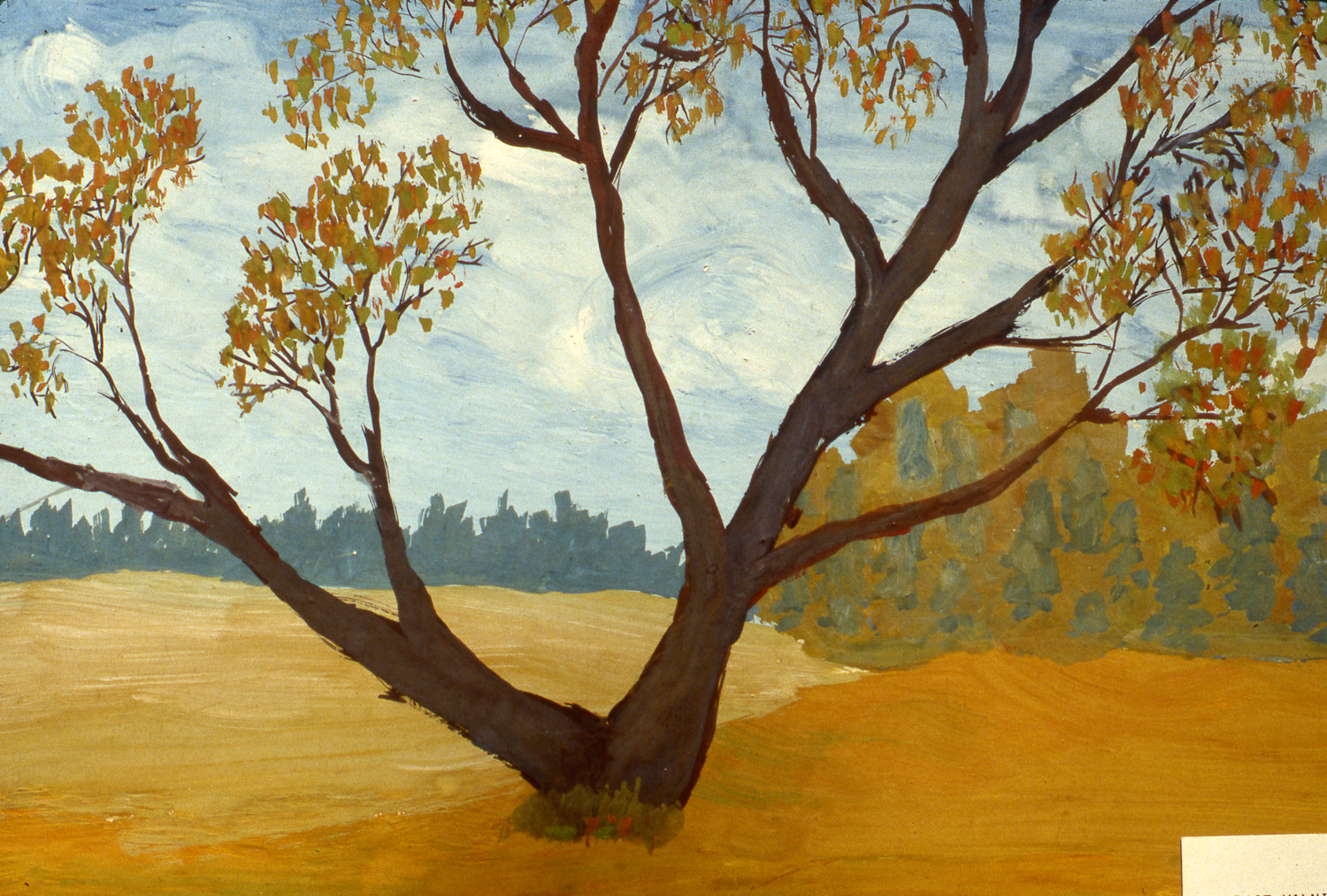 Nature Paintbrush Diplomacy